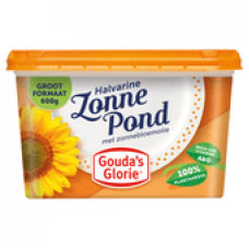 Gouda's Glorie Zonne pond